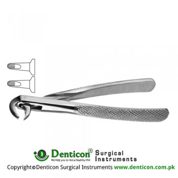 English Pattern Tooth Extracting Forcep (Child) Fig. 123 (For Lower Anteriors, Premolars and Roots) Stainless Steel, Standard